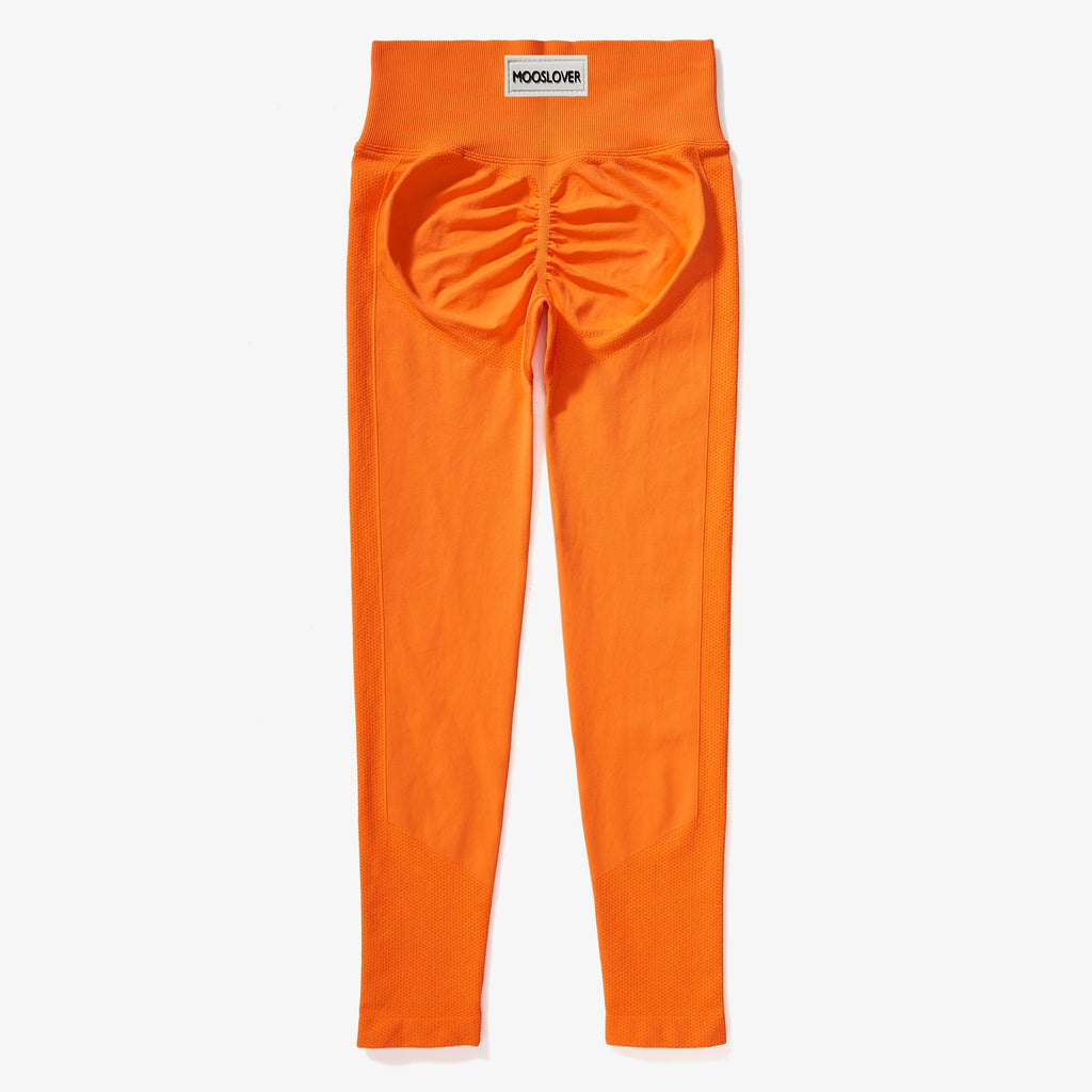 Leggings – High-Waist Yoga Leggings